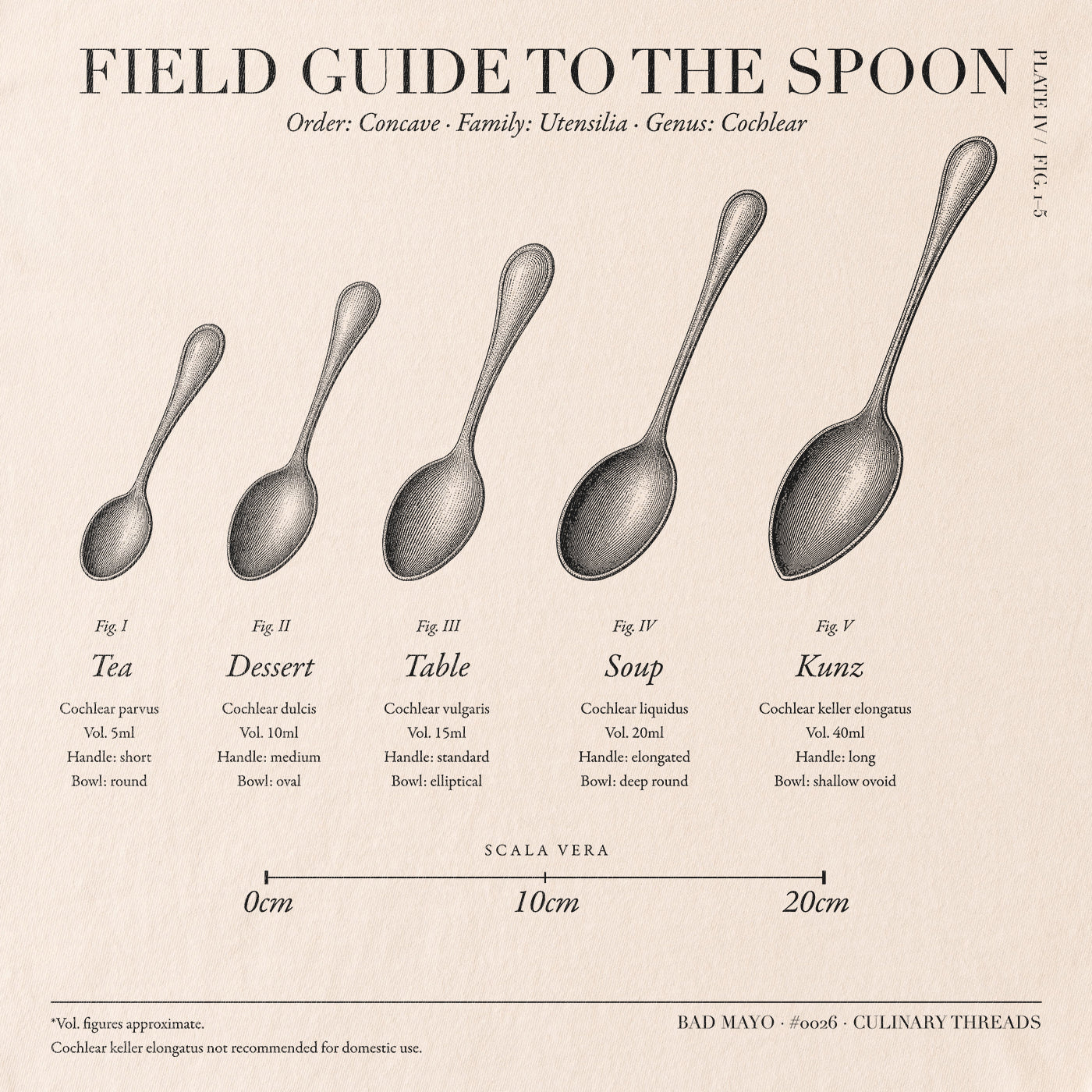 Field Guide to the Spoon