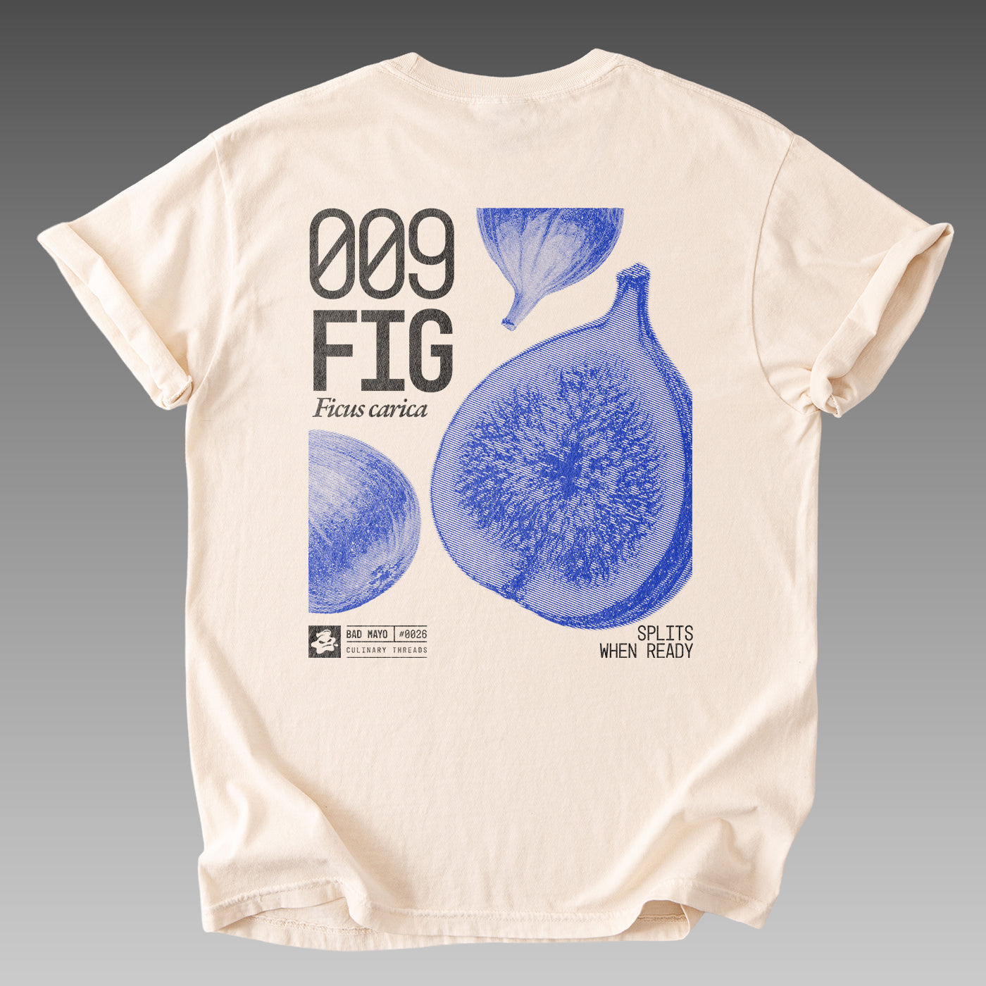 009: FIG