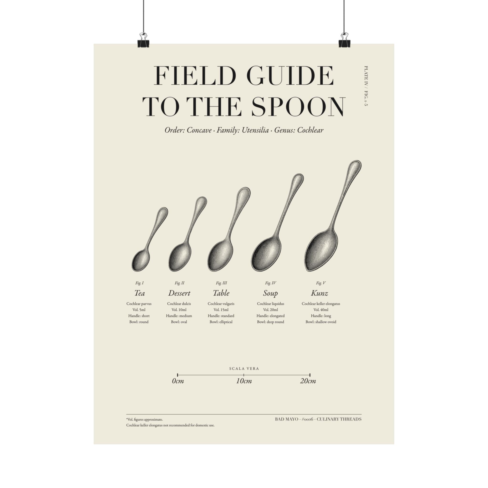 Poster Field guide to the spoon