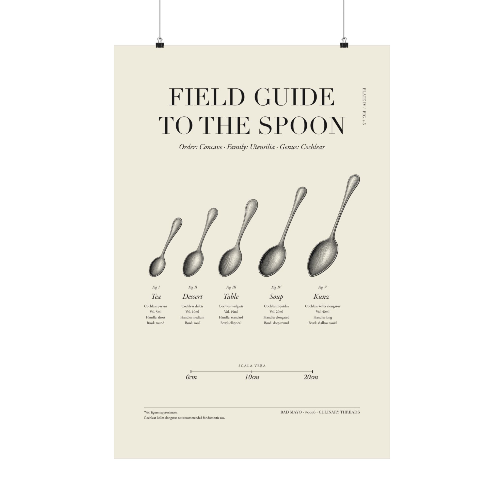 Poster Field guide to the spoon