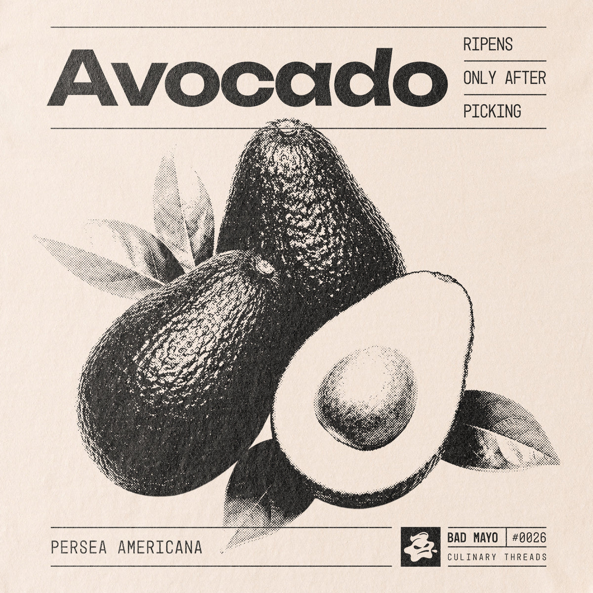 Avocado