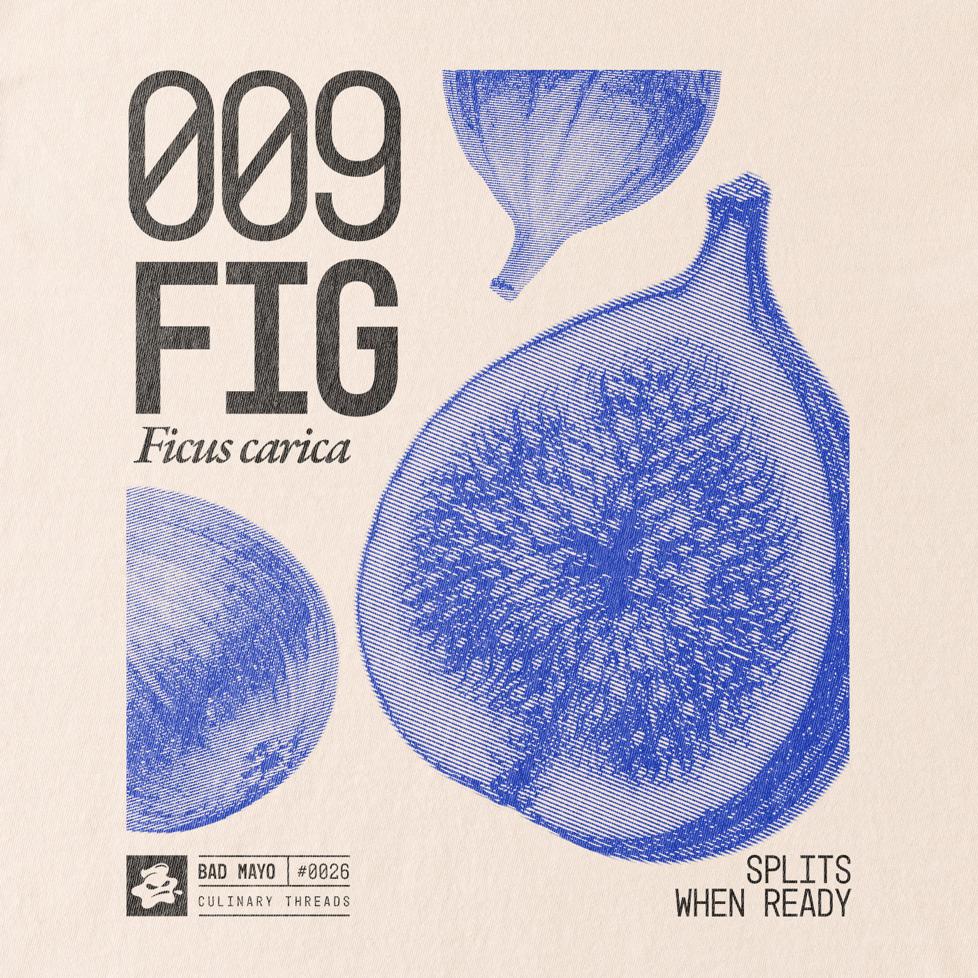 009: FIG
